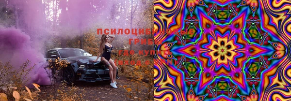 метадон Алексин
