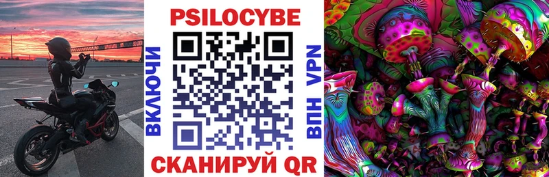 Псилоцибиновые грибы Psilocybine cubensis  Кремёнки 